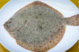 看着丑吃着香的多宝鱼，简单干烧就是一道大菜，过程超简单