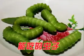 世界上可以吃的美味虫子，中国有很多种，有一种你肯定吃过视频封面