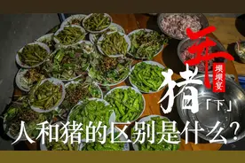 年猪坝坝宴下｜人和猪的区别是什么？