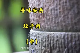 四川安岳 让我们一起去寻找安岳美食 坛子肉（中）视频封面
