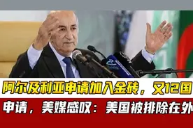 阿尔及利亚申请加入金砖，又12国申请，美媒感叹：美国被排除在外视频封面