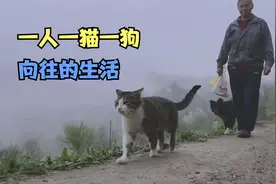 猫咪每天和主人去烧木炭，淡定猫咪被烟呛到，连打好几个喷嚏视频封面