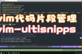vim插件代码片段管理视频封面