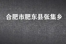 旅游发现：游览肥东县张集乡，发现了与众不同的牡丹和这个玉琮视频封面