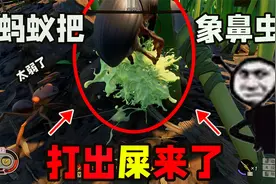 禁闭求生：小人世界第一期之蚂蚁把象鼻虫打出屎来了！
