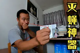 钻研了三年终于发明出一种高效杀灭苍蝇的神器，只要一根皮筋