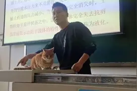 橘猫乱入课堂被老师当教具授课，网友：课后麻烦把小鱼干结一下视频封面