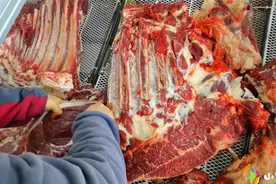 孕妇能吃马肉吗？吃过一次马肉的闺蜜，怀孕了啥都不爱就馋马肉视频封面