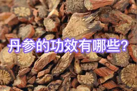 丹参的功效有哪些？