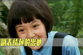 影视中的爆笑表情包，英子一句“你是来拉屎的吧”直接火爆全网视频封面