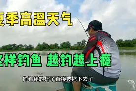 夏季高温鱼不好钓？老钓友分享一个实招，绝对让你越钓越上瘾