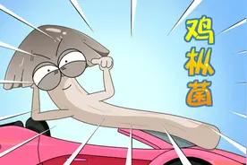 什么云南的蚂蚁居然会耕地种蘑菇，还号称还是野生菌里面的法拉利视频封面