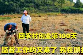 农村创业有方法，一人经营120亩农场，农场经营技巧厉害了！视频封面