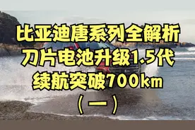 比亚迪唐系列全解析（1）：刀片电池升级1.5代，EV续航突破700km