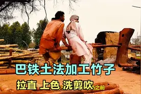 巴铁用新花样技术给竹子上色，拉直视频封面