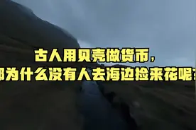 古人用贝壳做货币，那为什么没有人去海边捡来花呢？视频封面