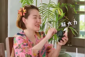 能制裁小s的明星们，大S：我从出生就比你漂亮，这有什么好比的！视频封面