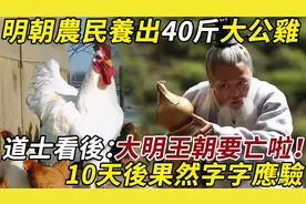 明朝農民養出40斤大公雞，道士看後嚇得癱倒在地视频封面