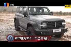 同为长城汽车旗下 哈弗大狗和坦克300怎么选？视频封面