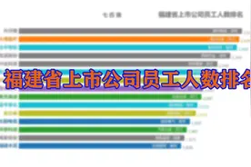 【可视化】福建省上市公司员工人数排名视频封面