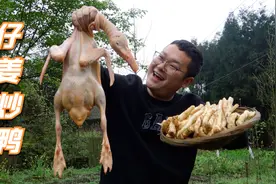 仔姜鸭的家常做法,不腌制不焯水,香辣爽口,吃着真带劲视频封面