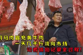 用马肉冒充黄牛肉，一天几千斤流向市场，记者偷拍记录全过程！视频封面