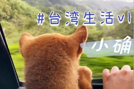 大陆人看到的真实台湾  台北台中高雄 日常生活记录vlog视频封面