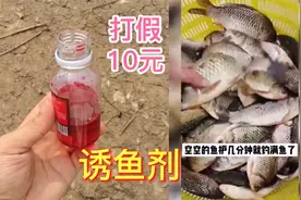 拼多多10元诱鱼剂，往水里倒入1滴河里的鱼都会游过来？是真的吗视频封面