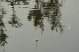 浮漂太细看不清怎么办？其实只需要一颗太空豆就可以轻松解决！