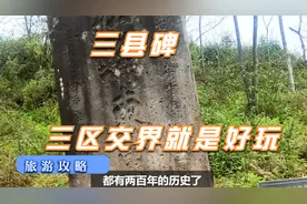 重庆巴南南川綦江三区边界走古道，春游踏青最理想的好地方视频封面