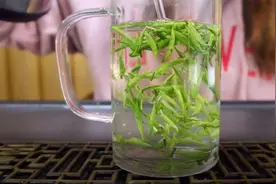 雀舌是什么？绿茶还是大红袍？其实雀舌根本不是茶？视频封面