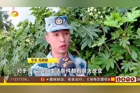 定向培养士官，湖南5所院校强强联手，培养新型军事人才