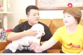 猫砂能不能直接倒马桶？动物粪便该咋分，赶紧学起来吧！