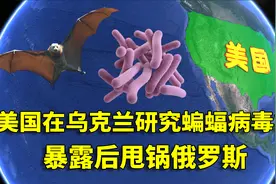 美国在乌克兰研究蝙蝠冠状病毒？暴露后甩锅俄罗斯，泽连斯基发声视频封面