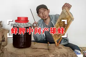 蜂王在蜂脾中间产雄蜂，什么问题导致的？农村养蜂小伙实例分享视频封面