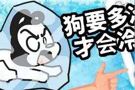 有一种冷，叫做忘穿秋裤！狗狗到底多冷才会冷？视频封面