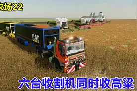 模拟农场22：队友联机收割高粱，农田太大了六辆收割机同时作业视频封面