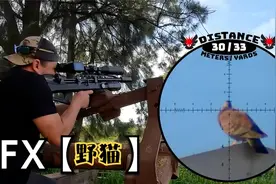 国外职业猎人测试FX【野猫】紧凑版，135米偏风命中，男人大玩具视频封面