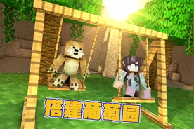 我的世界：萌新生存 27 搭建葡萄园丰收戒指的神秘功能