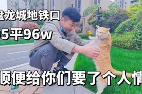 盘龙城的房子，对比5年时间差距有多大？你们会在盘龙城买房吗视频封面