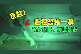 猫的记仇心有多强，被绝育后，疯狂撕咬主人，展开变态般的复仇！视频封面