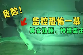 猫的记仇心有多强，被绝育后，疯狂撕咬主人，展开变态般的复仇！视频封面