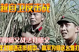 1979年对越还击作战中，高平为何这么难打？越军用师父战法打师父视频封面