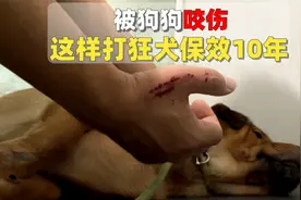 被狗咬不怕，这样打狂犬疫苗，还可以安心被狗咬10年视频封面