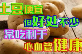 土豆虽便宜，但好处真不少，没事常吃，可有利于心血管健康视频封面
