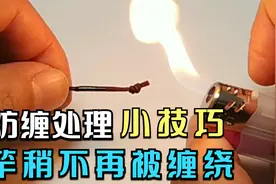 为何主线总是缠绕竿稍？小辫打结有技巧，能轻松避免缠绕还牢靠视频封面