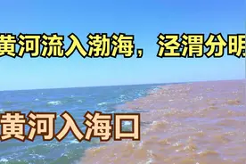 黄河流入渤海泾渭分明，黄沙沉於演绎“沧海桑田”，乃天下奇观视频封面