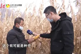 托管土地产量低 如何赔偿有分歧视频封面