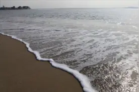 海水什么时候退潮，掌握了涨潮时间，自己就可以算得出来！视频封面