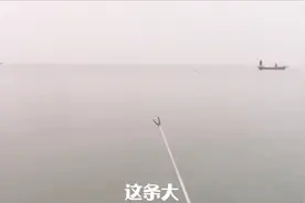 野钓东平湖，鱼多就是过瘾，钓完鱼后做到这一点，下次钓的更多视频封面